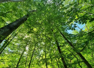 Med lanceringen af Mad i Danmark vokser et globalt netværk for radikal forandring sig stærkere