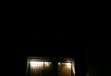 Magt og tvang vs. lidelse.