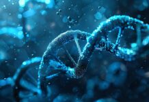 Psykiatrien indrømmer endelig…